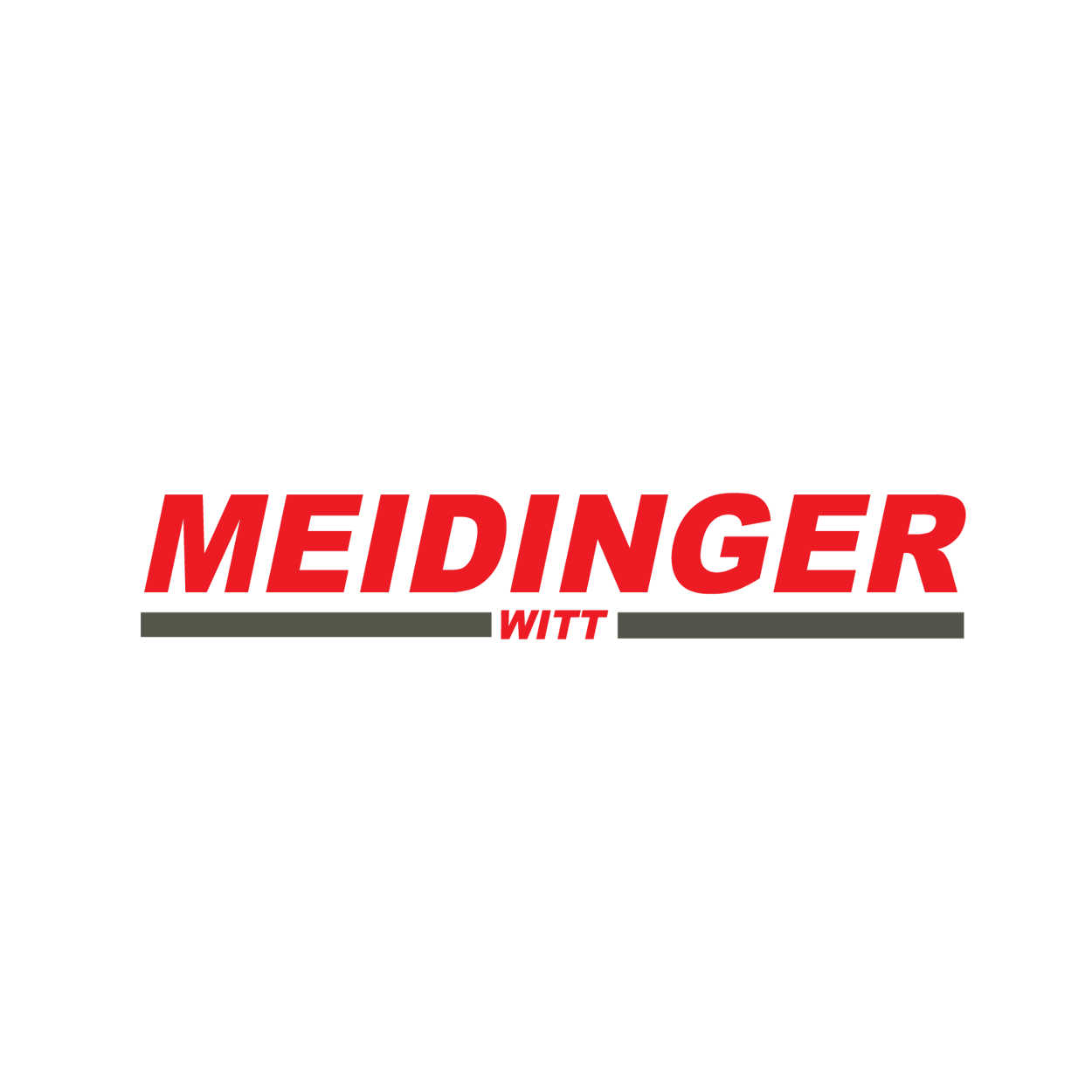 MEIDIGER_LG_new